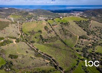 Agricultural land Budoni - photo 1