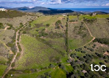 Agricultural land Budoni - photo 3