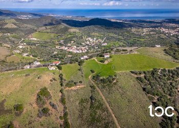 Agricultural land Budoni - photo 4