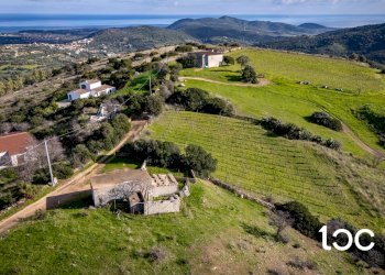 Agricultural land Budoni - photo 5