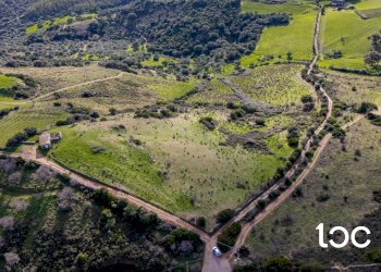 Agricultural land Budoni - photo 7