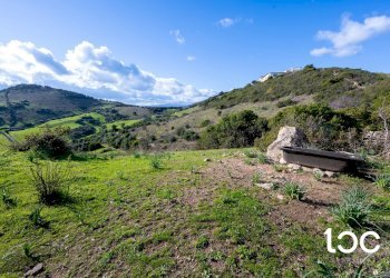 Agricultural land Budoni - photo 9