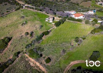 Agricultural land Budoni - photo 10