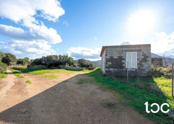 Agricultural land Budoni - photo 12