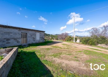 Agricultural land Budoni - photo 13