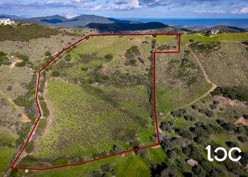 Agricultural land Budoni - photo 14