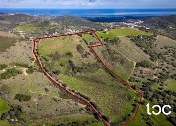 Agricultural land Budoni - photo 16