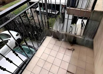 Two-room apartment Forlì - photo 5