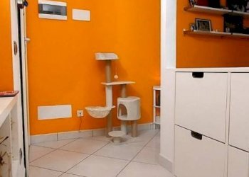 Two-room apartment Via Alessandro Volta, 76, Cento - photo 12