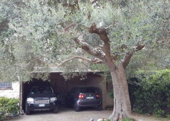 Posto macchina - Rustico via Monte Colombo, 10, Sirolo - foto 9