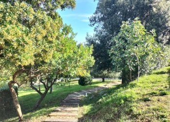 Terreno - Rustico via Monte Colombo, 10, Sirolo - foto 38