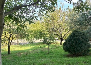 Terreno - Rustico via Monte Colombo, 10, Sirolo - foto 40