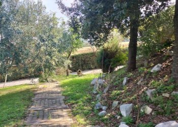 Giardino - Rustico via Monte Colombo, 10, Sirolo - foto 41