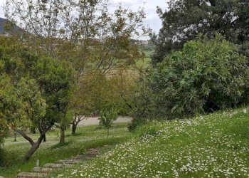 Terreno - Rustico via Monte Colombo, 10, Sirolo - foto 42