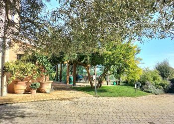 Giardino - Rustico via Monte Colombo, 10, Sirolo - foto 43