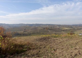 Terreno - Rustico strada Cascinetta, Costigliole d'Asti - foto 32
