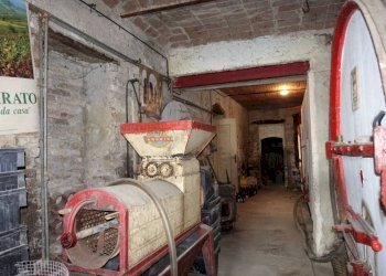 Cantina - Rustico strada Cascinetta, Costigliole d'Asti - foto 31