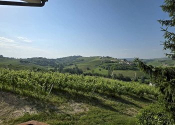 Terreno - Rustico strada Cascinetta, Costigliole d'Asti - foto 8