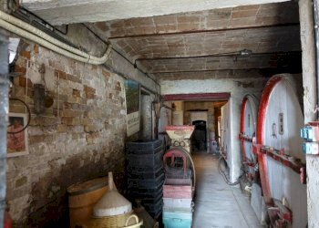 Cantina - Rustico strada Cascinetta, Costigliole d'Asti - foto 41