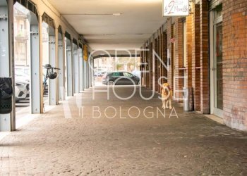 Interno non residenziale - Appartamento via Isabella Andreini, 23, Bologna (zona San Donato) - foto 35