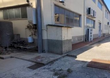 Facciata - Capannone via Palmiro Togliatti, Signa - foto 20