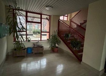 Interno palazzo - Quadrilocale via Marzabotto, 5, Collegno - foto 41