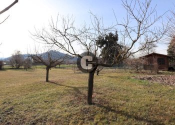 Terreno - Casa indipendente corso Industria, 6/bis, Monteu da Po - foto 41