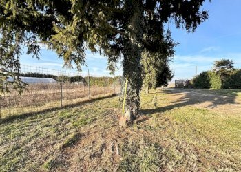 Terreno agricolo Regione bauleri, Macello - foto 2