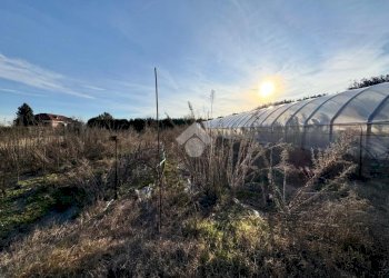 Terreno agricolo Regione bauleri, Macello - foto 5