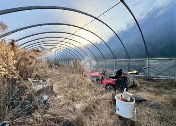 Terreno agricolo Regione bauleri, Macello - foto 8