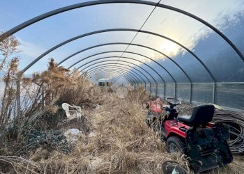 Terreno agricolo Regione bauleri, Macello - foto 9