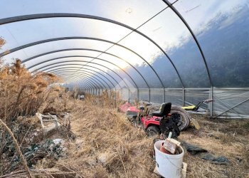 Terreno agricolo Regione bauleri, Macello - foto 10