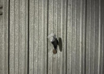 Box Via G. Gambigliani Zoccoli, Modena (zona Baggiovara) - foto 5