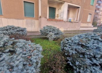 Trilocale Via Vincenzo Giordano Orsini, Milano (zona Bande Nere) - foto 32