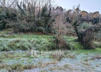 Foto 16 - Casa indipendente Via Sarzanese, Massarosa - foto 15