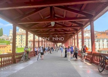 Foto 9 - Rustic via capitelvecchio
 
0, Bassano del Grappa - photo 9