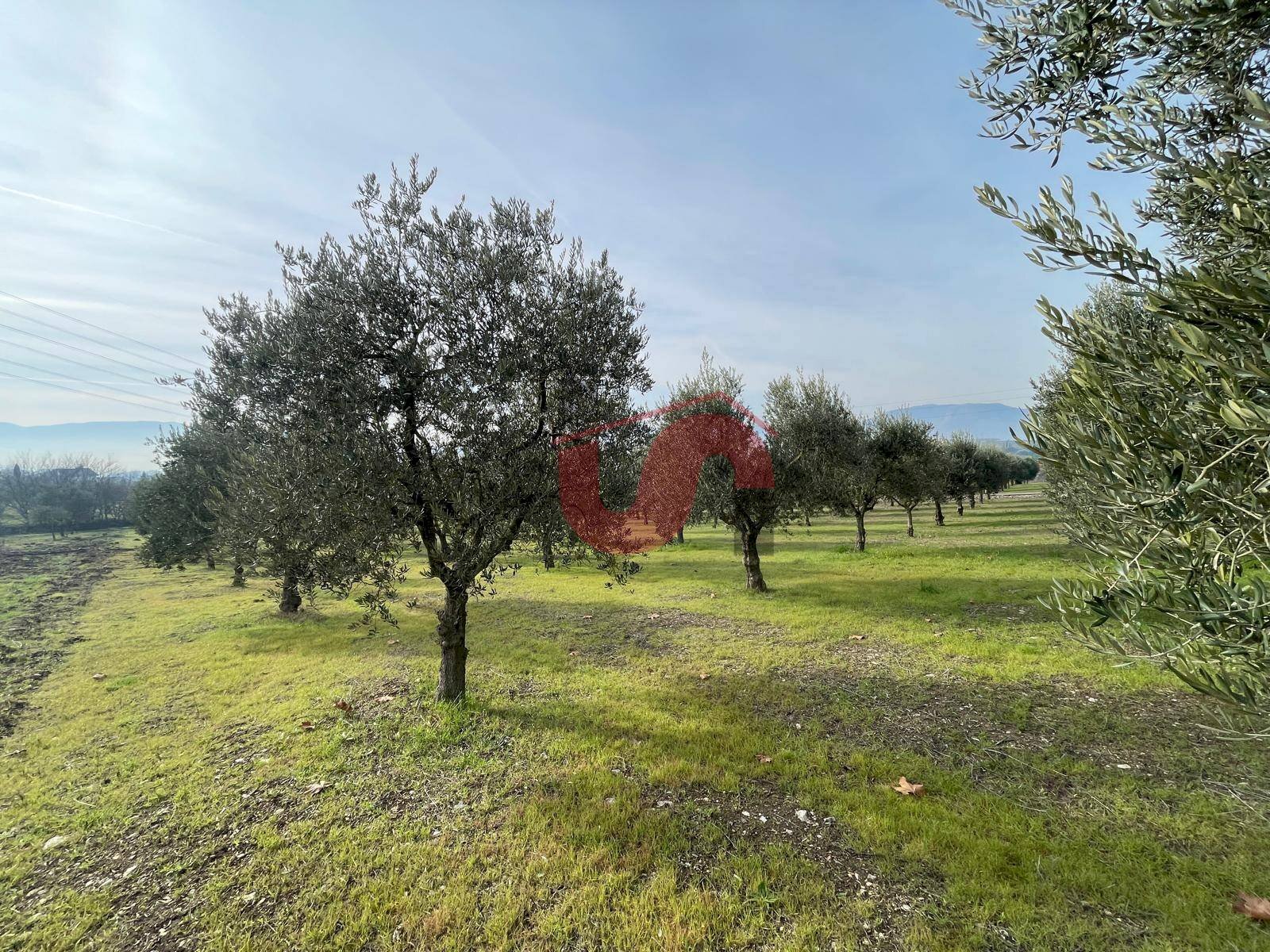 Foto 1 - Terreno edificabile Via Molise, Benevento - foto 1