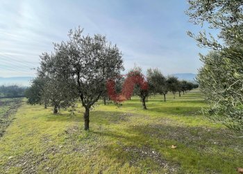 Foto 1 - Terreno edificabile Via Molise, Benevento - foto 1