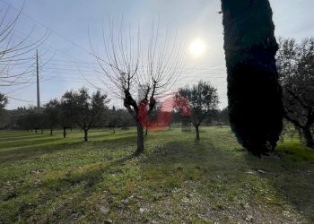 Foto 4 - Terreno edificabile Via Molise, Benevento - foto 4