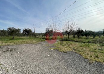 Foto 7 - Terreno edificabile Via Molise, Benevento - foto 7