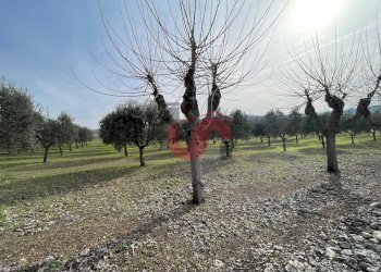 Foto 10 - Terreno edificabile Via Molise, Benevento - foto 10