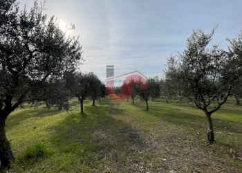 Foto 13 - Terreno edificabile Via Molise, Benevento - foto 13
