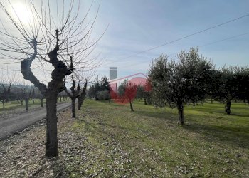 Foto 14 - Terreno edificabile Via Molise, Benevento - foto 14