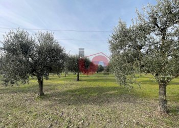 Foto 15 - Terreno edificabile Via Molise, Benevento - foto 15
