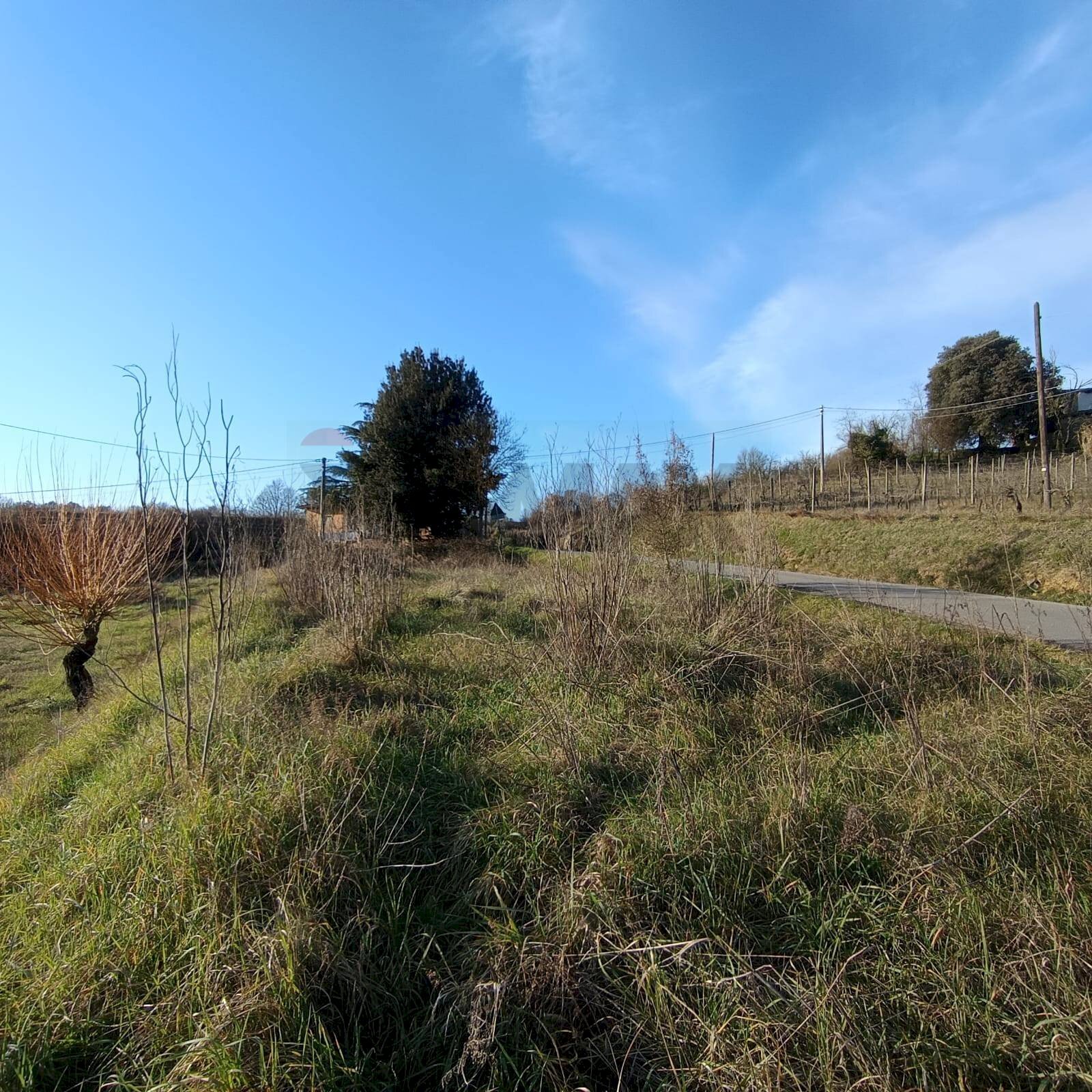 Vista delle montagne - Agricultural land Via di Persignano, Terranuova Bracciolini - photo 2