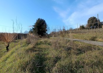 Vista delle montagne - Terreno agricolo Via di Persignano, Terranuova Bracciolini - foto 2