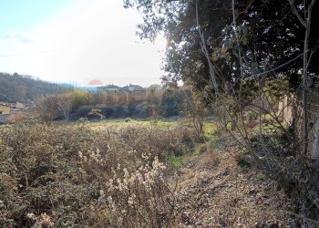 Vista delle montagne - Terreno agricolo Via di Persignano, Terranuova Bracciolini - foto 3