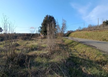 Non correlato - Terreno agricolo Via di Persignano, Terranuova Bracciolini - foto 4
