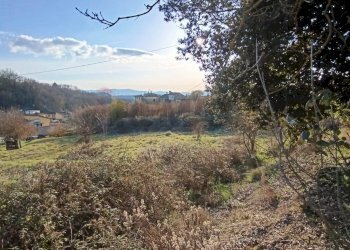 Vista delle montagne - Terreno agricolo Via di Persignano, Terranuova Bracciolini - foto 7