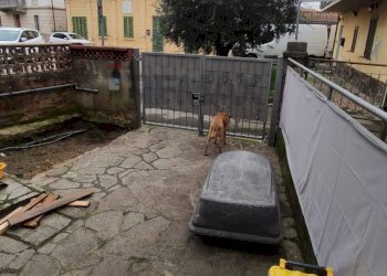 Terrazza - Independent house VIA PROVINCIALE FRANCESCA
 
72, Cerreto Guidi - photo 13